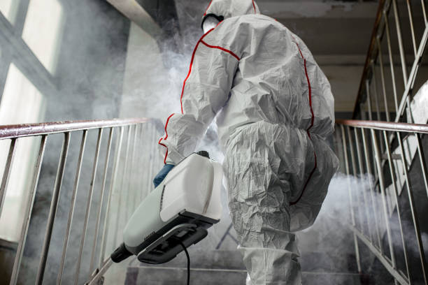 Trusted India Hook, SC Mold Removal Experts